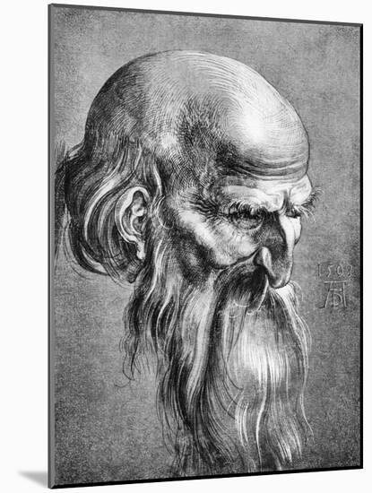 Apostle, 1508-Albrecht Durer-Mounted Giclee Print