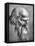 Apostle, 1508-Albrecht Durer-Framed Premier Image Canvas