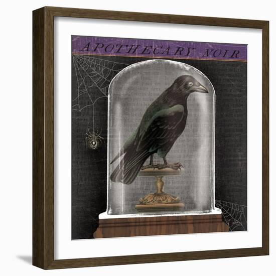 Apothecary Noir I-Sue Schlabach-Framed Art Print