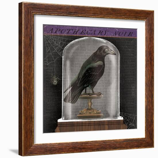 Apothecary Noir I-Sue Schlabach-Framed Art Print