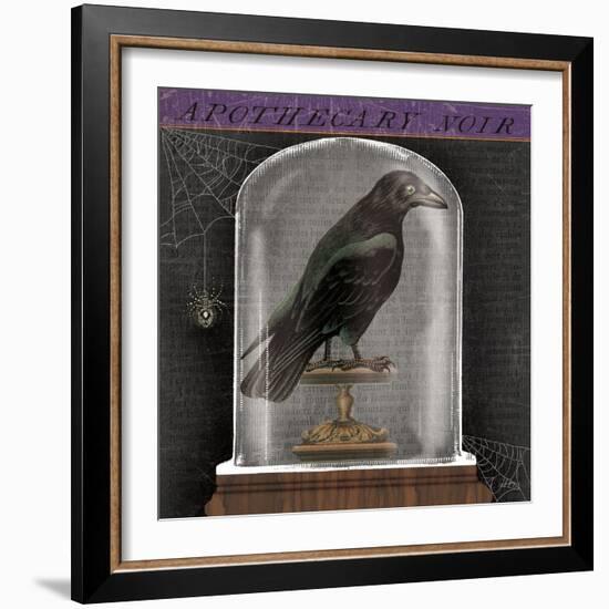 Apothecary Noir I-Sue Schlabach-Framed Art Print