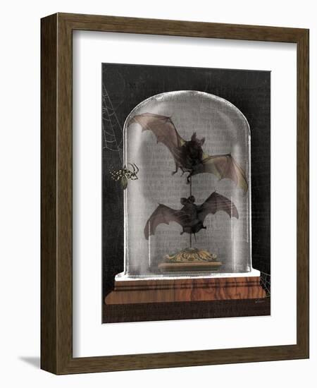 Apothecary Noir IV Black-Sue Schlabach-Framed Art Print