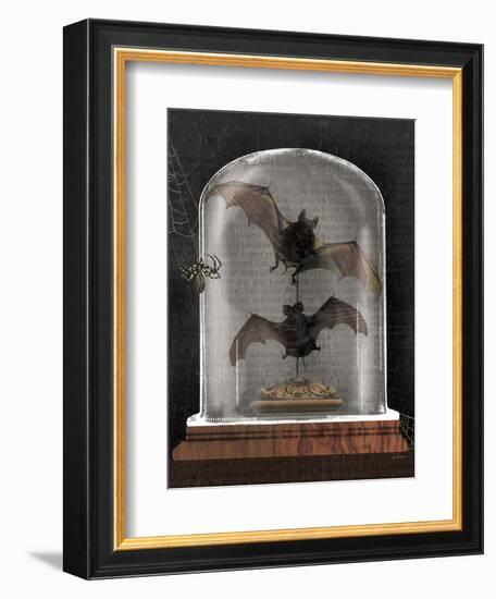 Apothecary Noir IV Black-Sue Schlabach-Framed Art Print