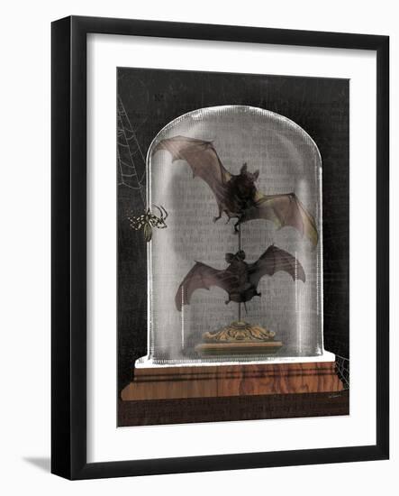 Apothecary Noir IV Black-Sue Schlabach-Framed Art Print