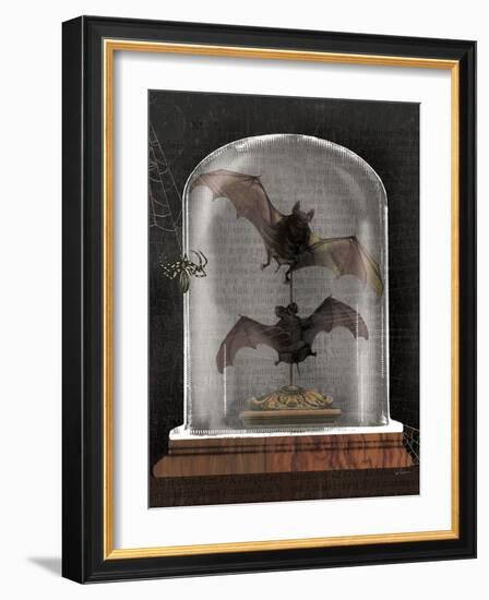 Apothecary Noir IV Black-Sue Schlabach-Framed Art Print