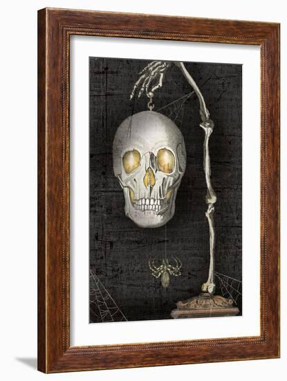 Apothecary Noir VII No Words-Sue Schlabach-Framed Art Print