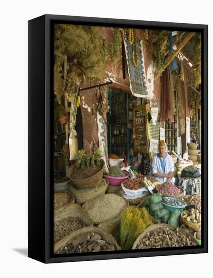 Apothecary Stall in Rahba Kedima, the Medina, Marrakech, Morroco, North Africa, Africa-Lee Frost-Framed Premier Image Canvas