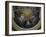 Apotheosis of Saint Dominic Guzman-Guido Reni-Framed Giclee Print