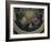 Apotheosis of Saint Dominic Guzman-Guido Reni-Framed Giclee Print