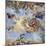 Apotheosis of the Medici Dynasty-Luca Giordano-Mounted Giclee Print