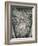 Apotheosis-Pietro da Cortona-Framed Giclee Print