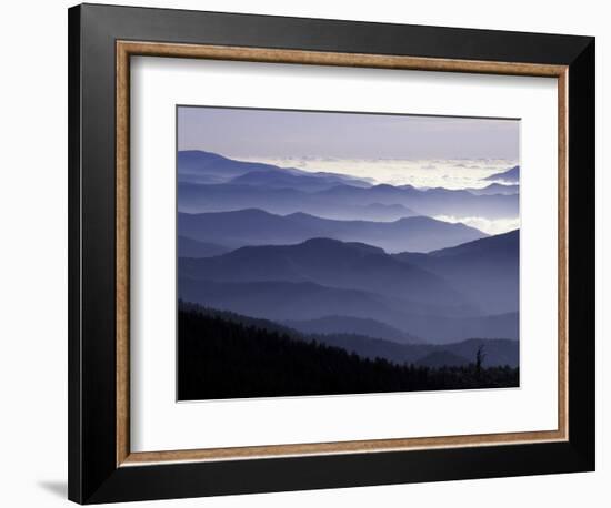 Appalachian Mountains at Dawn, Great Smoky Mountains National Park, Tennessee, USA-Adam Jones-Framed Photographic Print