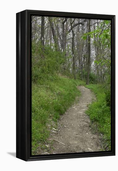 Appalachian Trail, Marked by White Blaze on Trees, Southbound Over Blue Ridge Mountains-null-Framed Premier Image Canvas