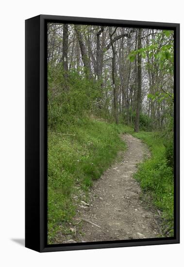 Appalachian Trail, Marked by White Blaze on Trees, Southbound Over Blue Ridge Mountains-null-Framed Premier Image Canvas