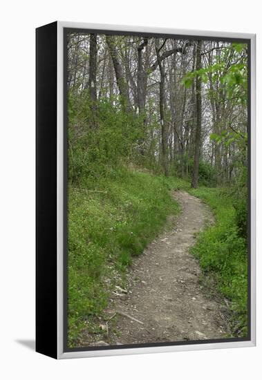 Appalachian Trail, Marked by White Blaze on Trees, Southbound Over Blue Ridge Mountains-null-Framed Premier Image Canvas