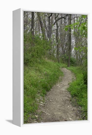 Appalachian Trail, Marked by White Blaze on Trees, Southbound Over Blue Ridge Mountains-null-Framed Premier Image Canvas