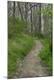 Premium Photographic Print