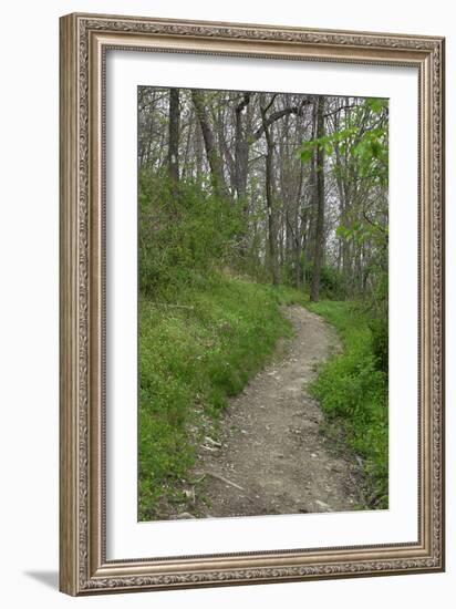 Appalachian Trail, Marked by White Blaze on Trees, Southbound Over Blue Ridge Mountains-null-Framed Photographic Print