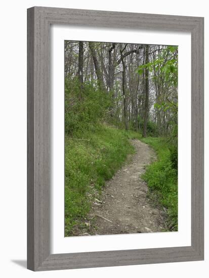 Appalachian Trail, Marked by White Blaze on Trees, Southbound Over Blue Ridge Mountains-null-Framed Photographic Print