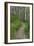 Appalachian Trail, Marked by White Blaze on Trees, Southbound Over Blue Ridge Mountains-null-Framed Photographic Print