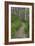 Appalachian Trail, Marked by White Blaze on Trees, Southbound Over Blue Ridge Mountains-null-Framed Photographic Print