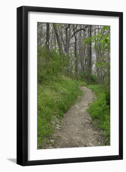 Appalachian Trail, Marked by White Blaze on Trees, Southbound Over Blue Ridge Mountains-null-Framed Photographic Print