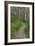 Appalachian Trail, Marked by White Blaze on Trees, Southbound Over Blue Ridge Mountains-null-Framed Photographic Print
