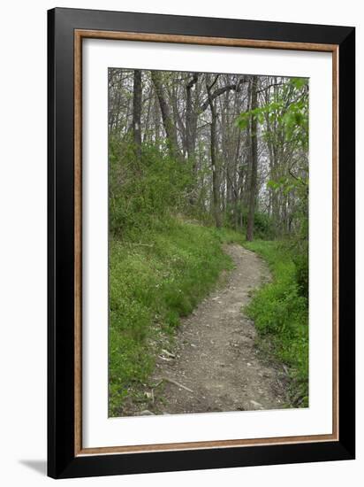 Appalachian Trail, Marked by White Blaze on Trees, Southbound Over Blue Ridge Mountains-null-Framed Photographic Print