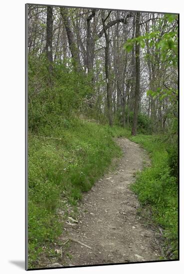 Appalachian Trail, Marked by White Blaze on Trees, Southbound Over Blue Ridge Mountains-null-Mounted Photographic Print