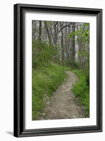 Appalachian Trail, Marked by White Blaze on Trees, Southbound Over Blue Ridge Mountains-null-Framed Photographic Print