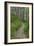 Appalachian Trail, Marked by White Blaze on Trees, Southbound Over Blue Ridge Mountains-null-Framed Photographic Print