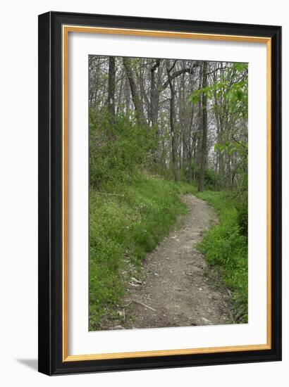 Appalachian Trail, Marked by White Blaze on Trees, Southbound Over Blue Ridge Mountains-null-Framed Photographic Print