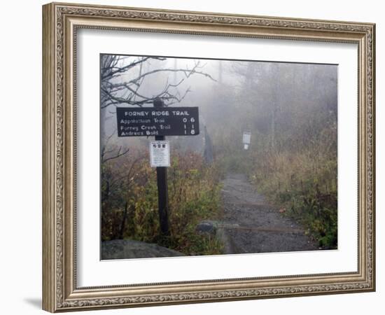 Appalachian Trail near Clingman's Dome, Great Smoky Mountains, Tennessee, USA-Diane Johnson-Framed Photographic Print