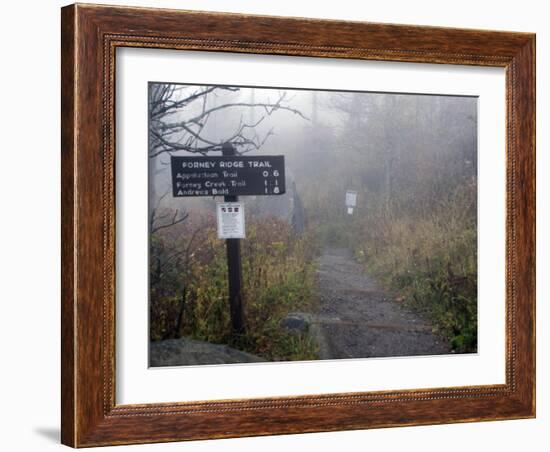 Appalachian Trail near Clingman's Dome, Great Smoky Mountains, Tennessee, USA-Diane Johnson-Framed Photographic Print