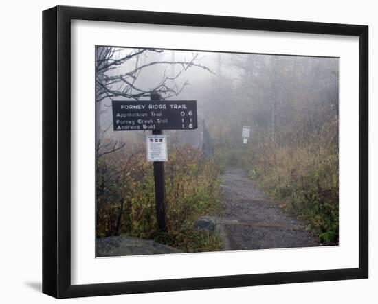 Appalachian Trail near Clingman's Dome, Great Smoky Mountains, Tennessee, USA-Diane Johnson-Framed Photographic Print