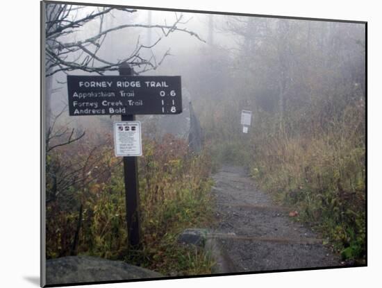 Appalachian Trail near Clingman's Dome, Great Smoky Mountains, Tennessee, USA-Diane Johnson-Mounted Photographic Print