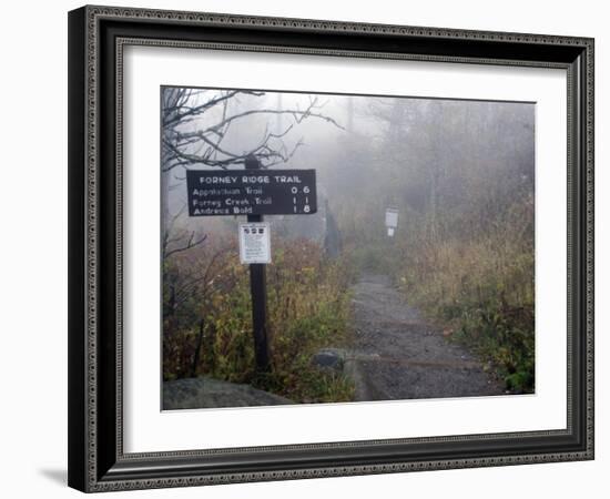 Appalachian Trail near Clingman's Dome, Great Smoky Mountains, Tennessee, USA-Diane Johnson-Framed Photographic Print