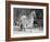 Appaloosa Horse in Snow, Illinois, USA-Lynn M. Stone-Framed Photographic Print