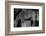 Appaloosa Mirage II-Petro Mikelo-Framed Art Print