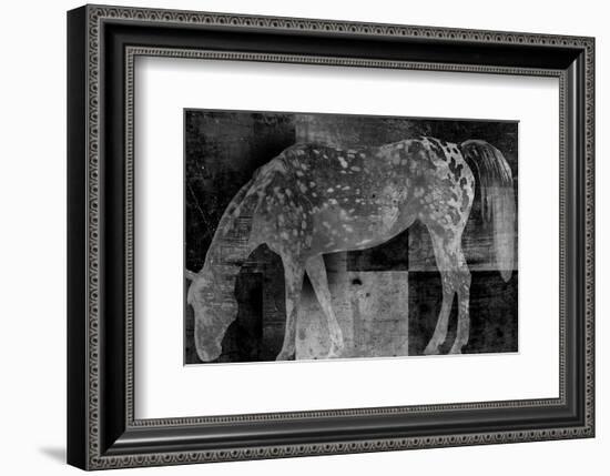 Appaloosa Mirage II-Petro Mikelo-Framed Art Print