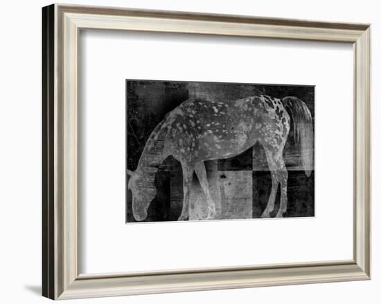 Appaloosa Mirage II-Petro Mikelo-Framed Art Print