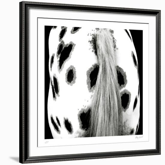 Appaloosa-Ray Hartl-Framed Collectable Print