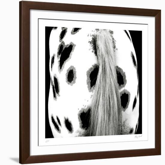 Appaloosa-Ray Hartl-Framed Collectable Print