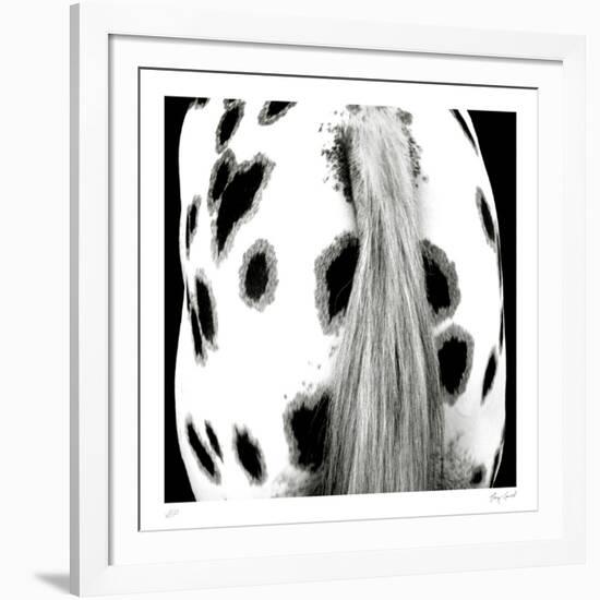 Appaloosa-Ray Hartl-Framed Collectable Print