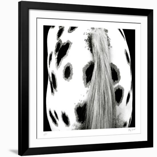 Appaloosa-Ray Hartl-Framed Collectable Print