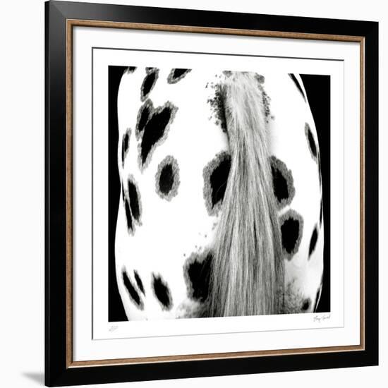 Appaloosa-Ray Hartl-Framed Collectable Print