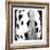 Appaloosa-Ray Hartl-Framed Collectable Print