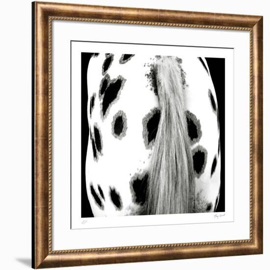 Appaloosa-Ray Hartl-Framed Collectable Print