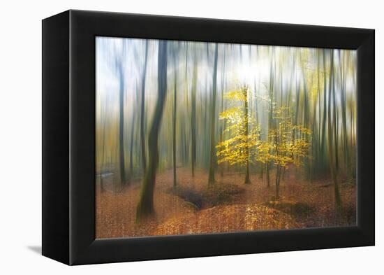 Apparition-Viviane Fedieu Daniel-Framed Premier Image Canvas