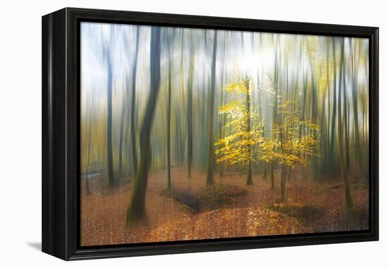 Apparition-Viviane Fedieu Daniel-Framed Premier Image Canvas